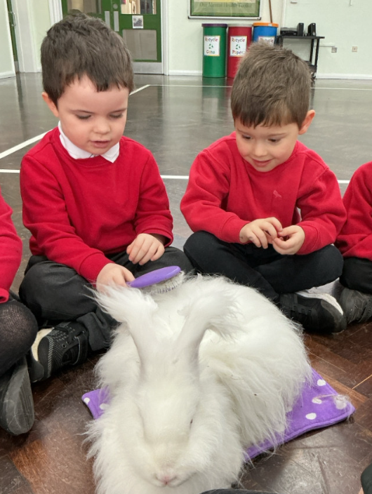 Woodthorpe Primary School tweet media