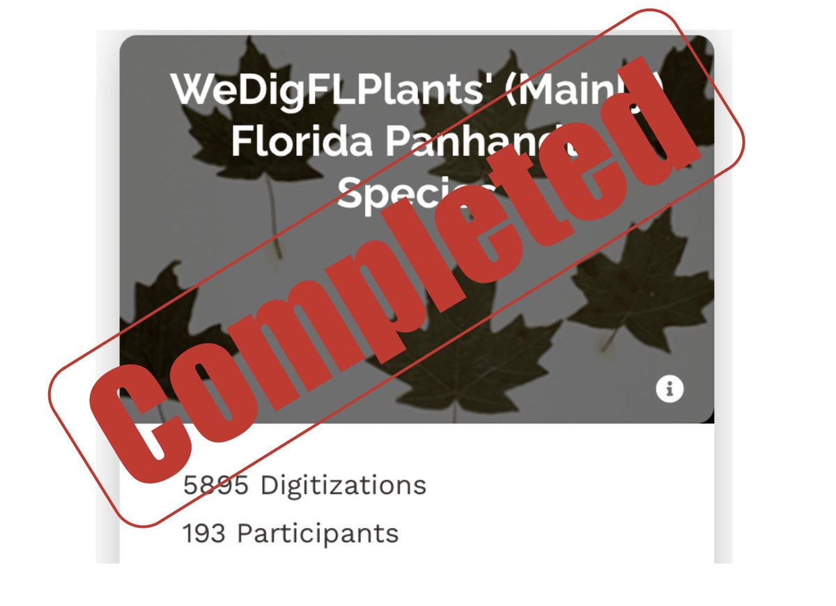 WeDigFLPlants tweet media