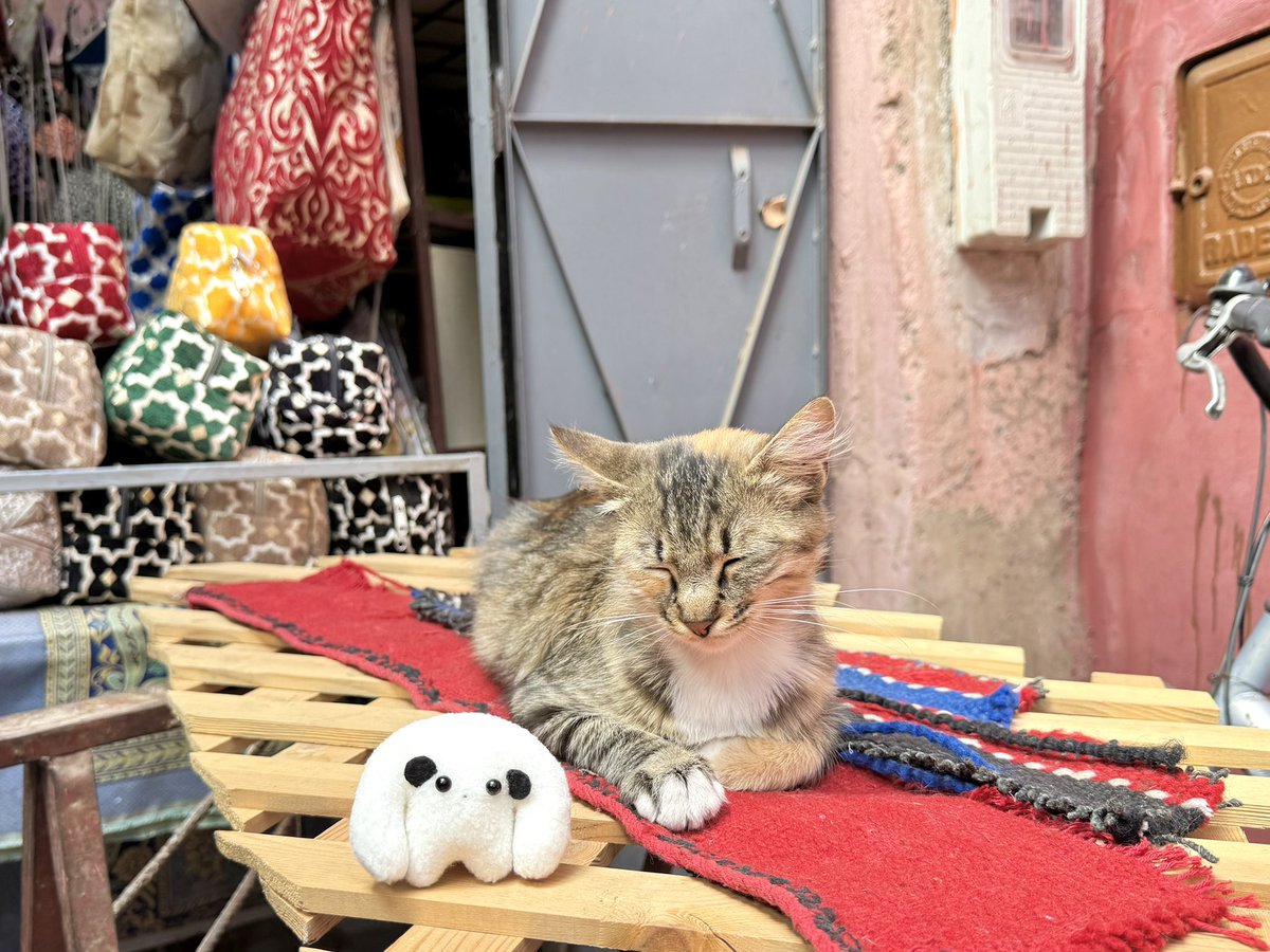 モコ太郎 (@mokotaro228) / Posts / X