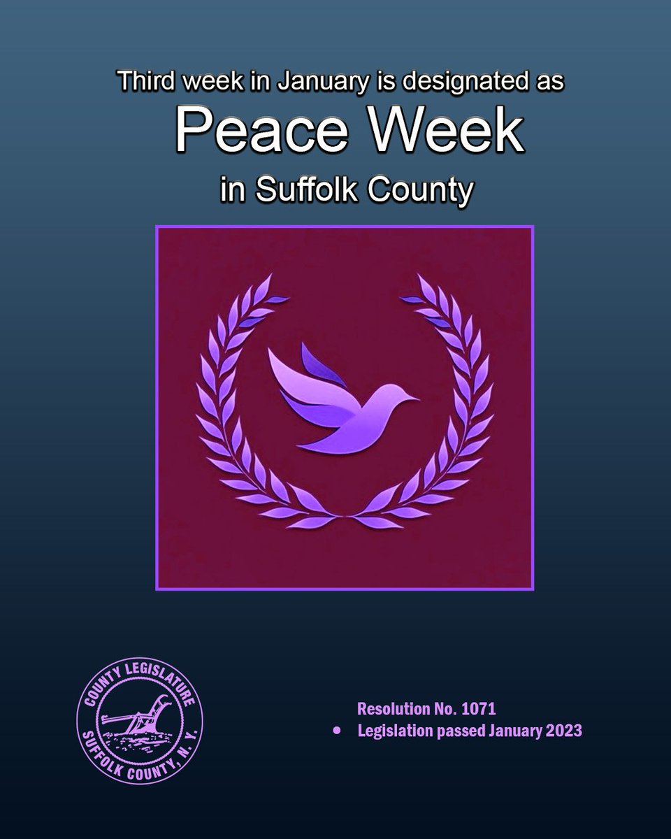 SC_Legislature's tweet photo. Peace Week is a time to reflect on the power of unity, respect, and understanding. By choosing dialogue over division and compassion over conflict, we can help build stronger, safer communities for all. #PeaceWeek #Unity #Respect #Community https://t.co/A6fPSzgtlR