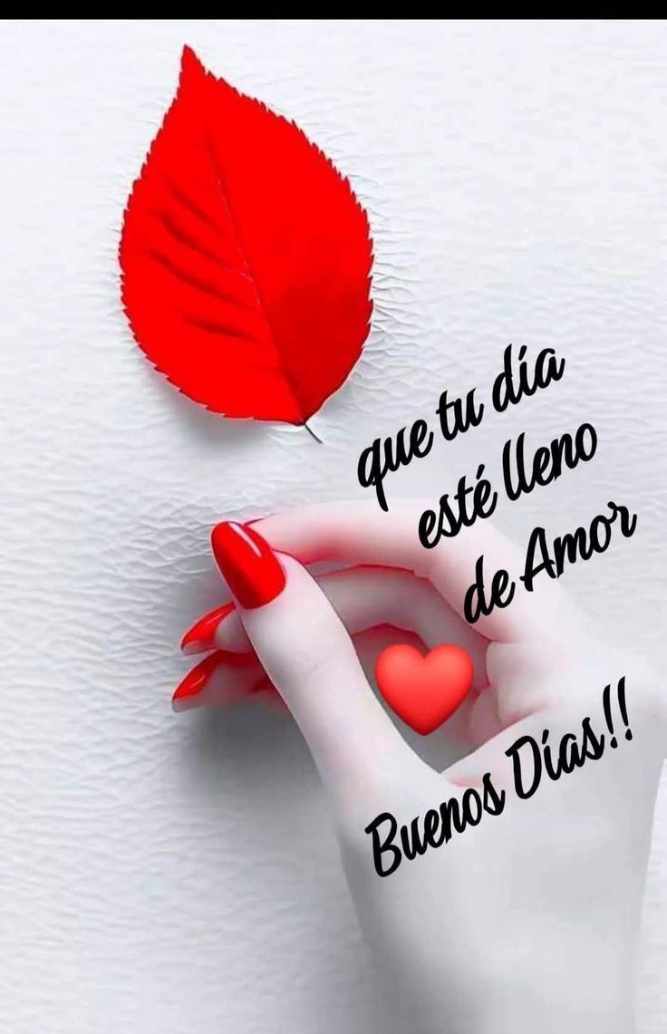 SOY SUSY tweet media