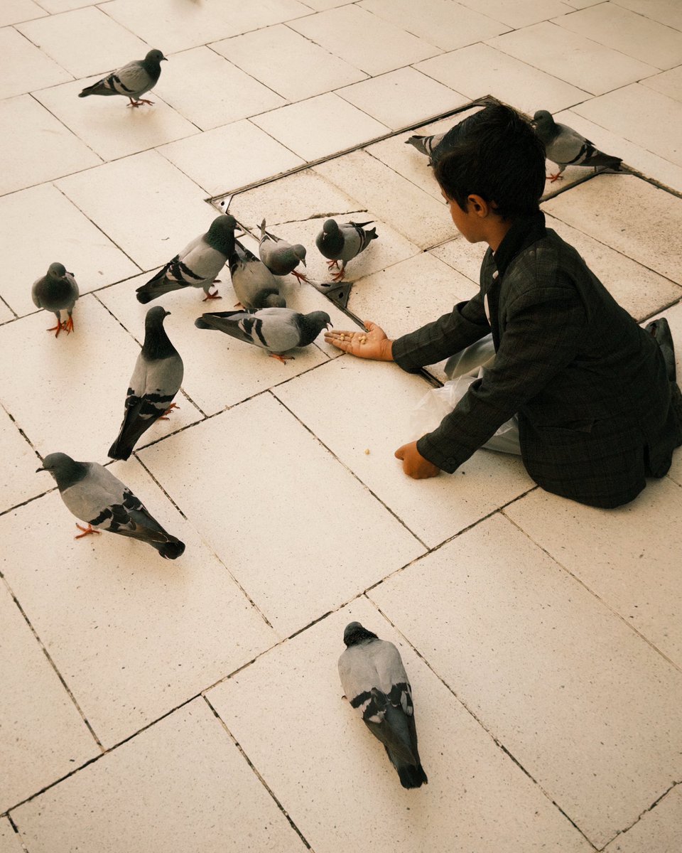 DHMM1Fo's tweet image. يوم في الحرم المكي 🕋 

 A day in the Holy Mosque