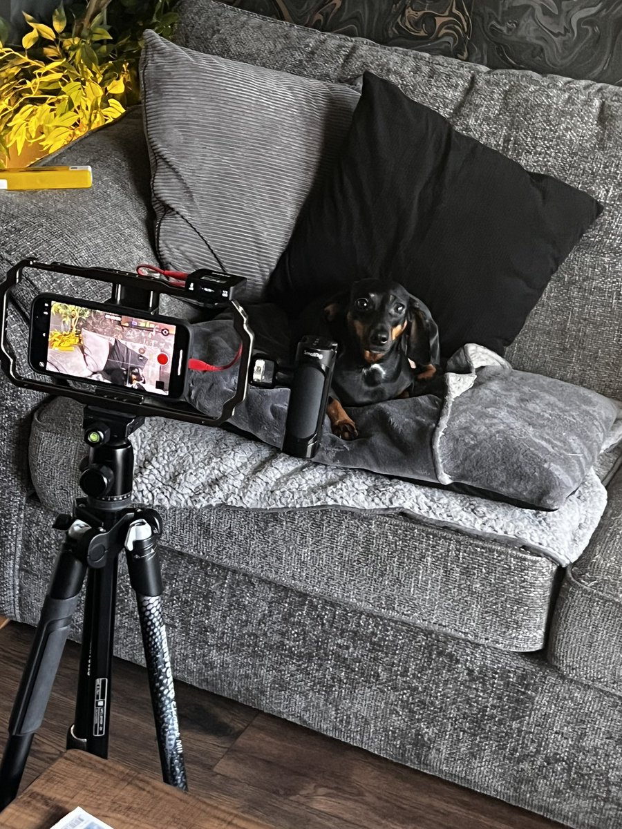 George Charlton tweet media