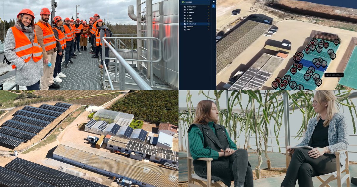 Ecoloop Project tweet media