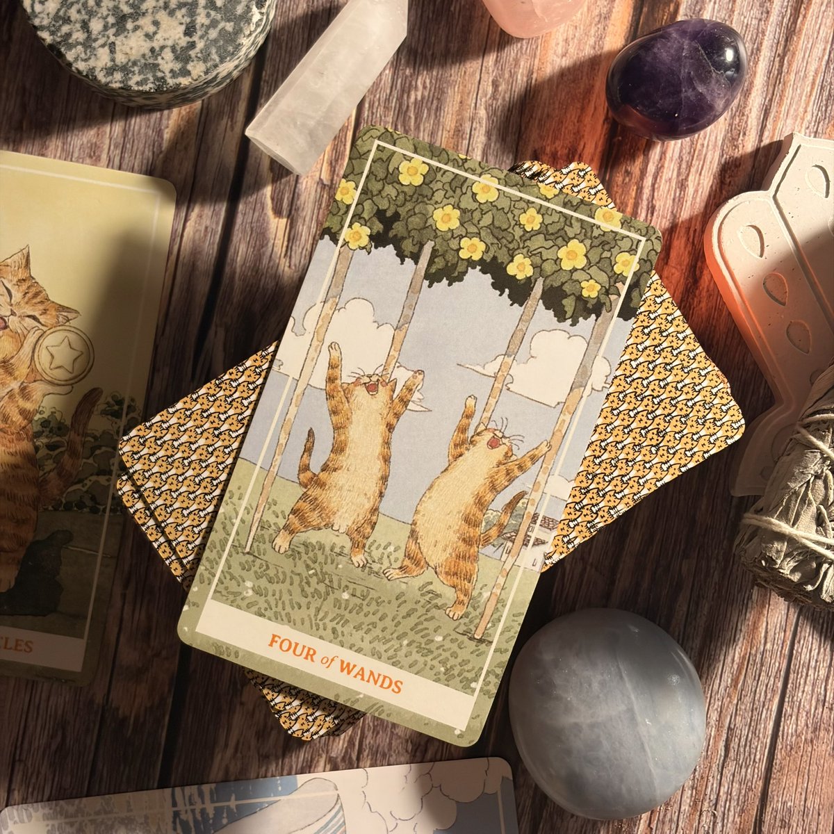 📍สัปดาห์นี้ของชาว — 🪬✨

            ราศีเมษ • ราศีสิงห์ • ราศีธนู

“ชีวิตมีทางเลือก การเงินราบรื่น ความรักรอเวลาลงตัว” 

• การเรียน/การงาน มีทางเลือกเข้ามาหา แต่เราเลือกแล้วจะกังวล กลัวว่าอะไรที่ไม่ได้เลือกจะดีกว่า ต้องพยายามมั่นใจกับการตัดสินใจของตัวเองมากขึ้น