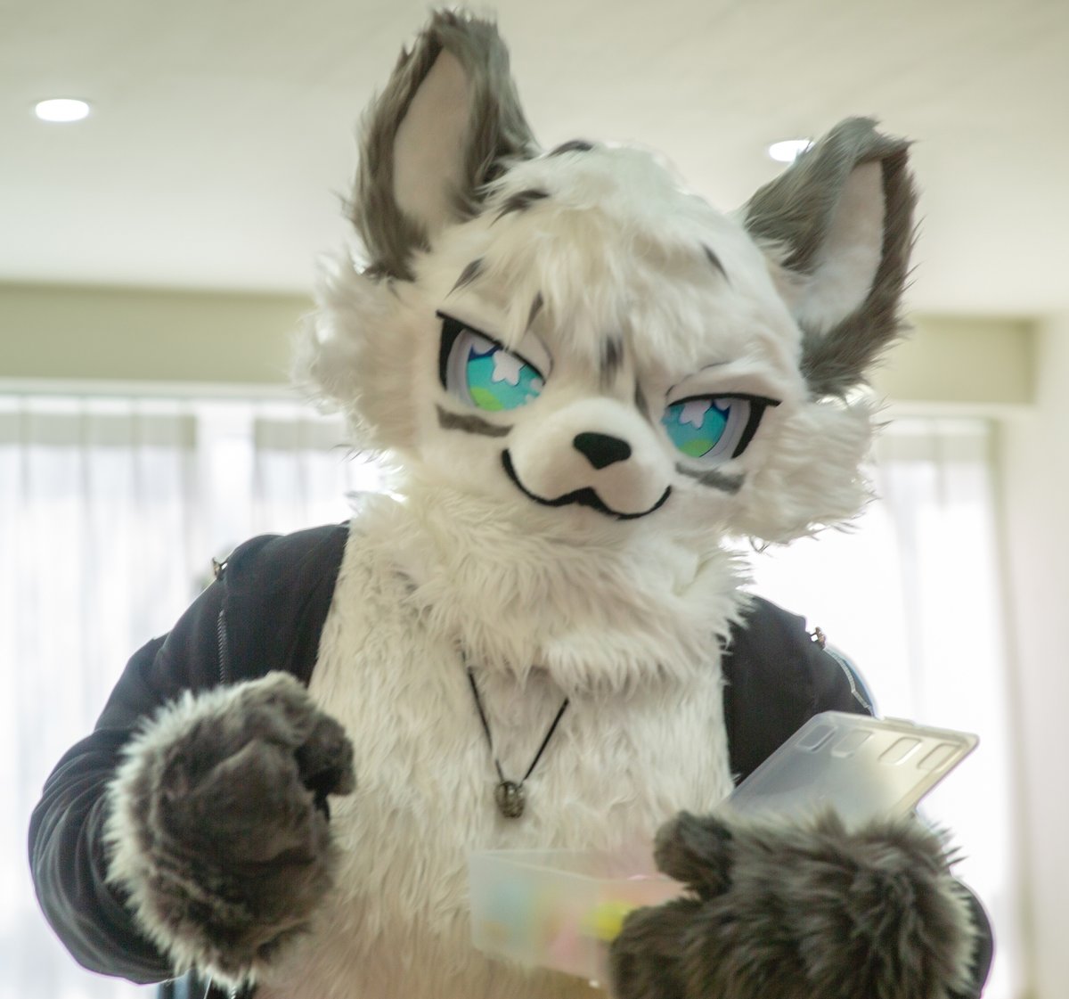 ふわふわ★おまとめ2点 その他 K NINJA ZX-25R SE/KRT EDITION（'20〜'22） GPスペック フル