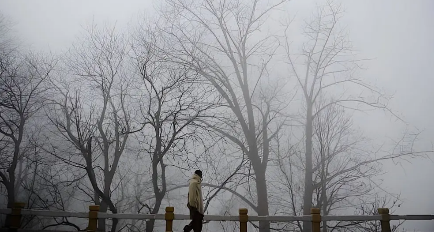 AbbTakk's tweet image. Karachi cold spell to continue, high alert issued for dense fog in Punjab; Met Office
#KarachiWeather #ColdSpell #PunjabFog #MetOfficeUpdate #WeatherAlert #BreakingNews #AbbTakk
Read Complete Article: abbtakk.tv/karachi-cold-s…
