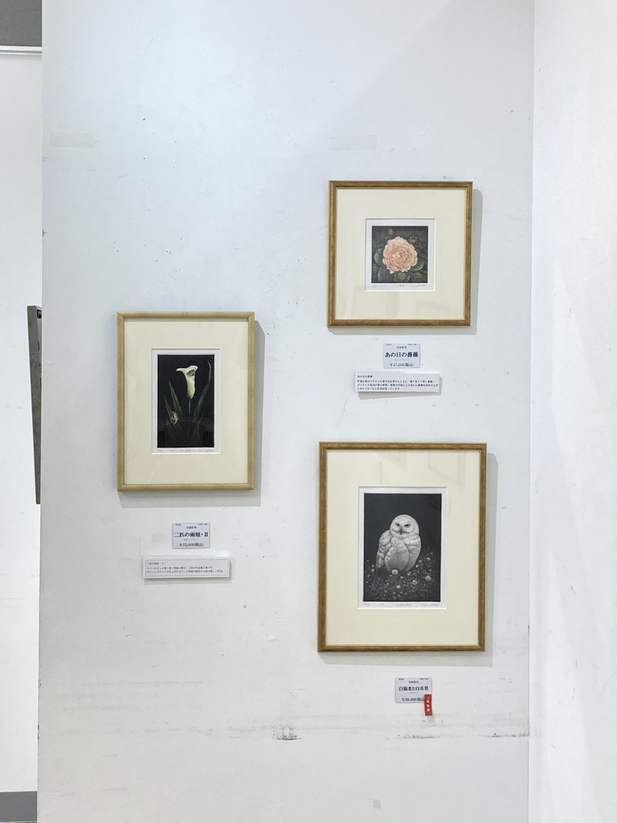 maruzenkyoto's tweet photo. 【地下2階ギャラリー】
「生田宏司銅版画展　～漆黒の宇宙に浮かび上がる愛しきもの～」開催中!
会期：1/7(水)～1/20(火)
メゾチント(銅版画技法)と呼ばれる美しい技法で表現される漆黒の世界は、国際的にも高い人気を得ています。
作家生田宏司氏来場日：1/17(土)13:00～18:00 / 1/18(日)11:00～16:00 https://t.co/4giQhrmRNN