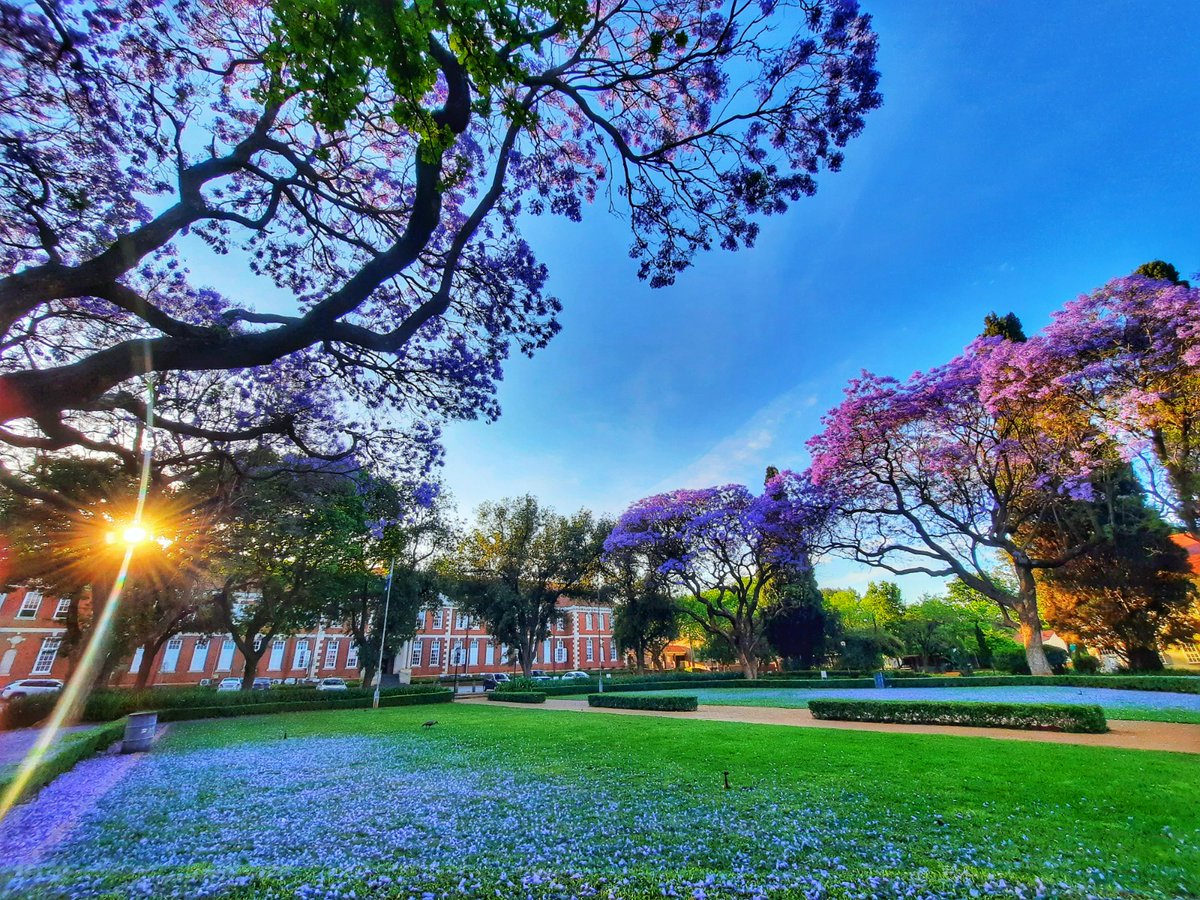 "Pretoria Girls - An Uphill Battle in the Courts."

New essay on #schoolcapture 

school-capture.com/phsg-part-12