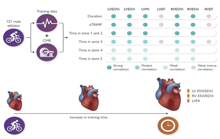 christophe dausin tweet media