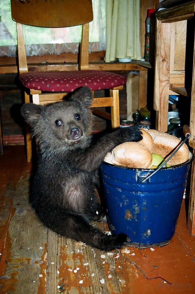 edruva's tweet image. Ilzītei 25 gadi – cienījams vecums.
👉Lasi vairāk:👉edruva.lv/sabiedriba/25-…