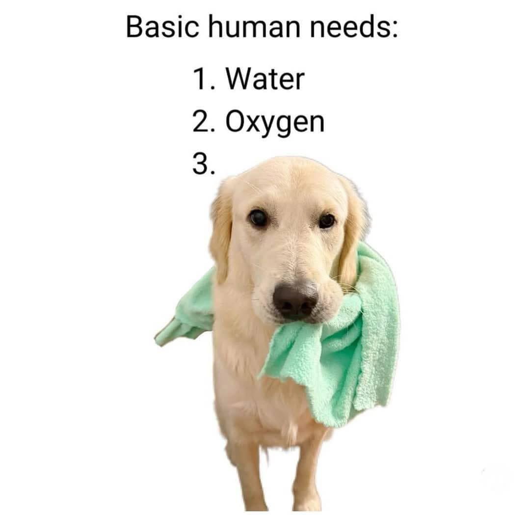 David Hiller tweet media