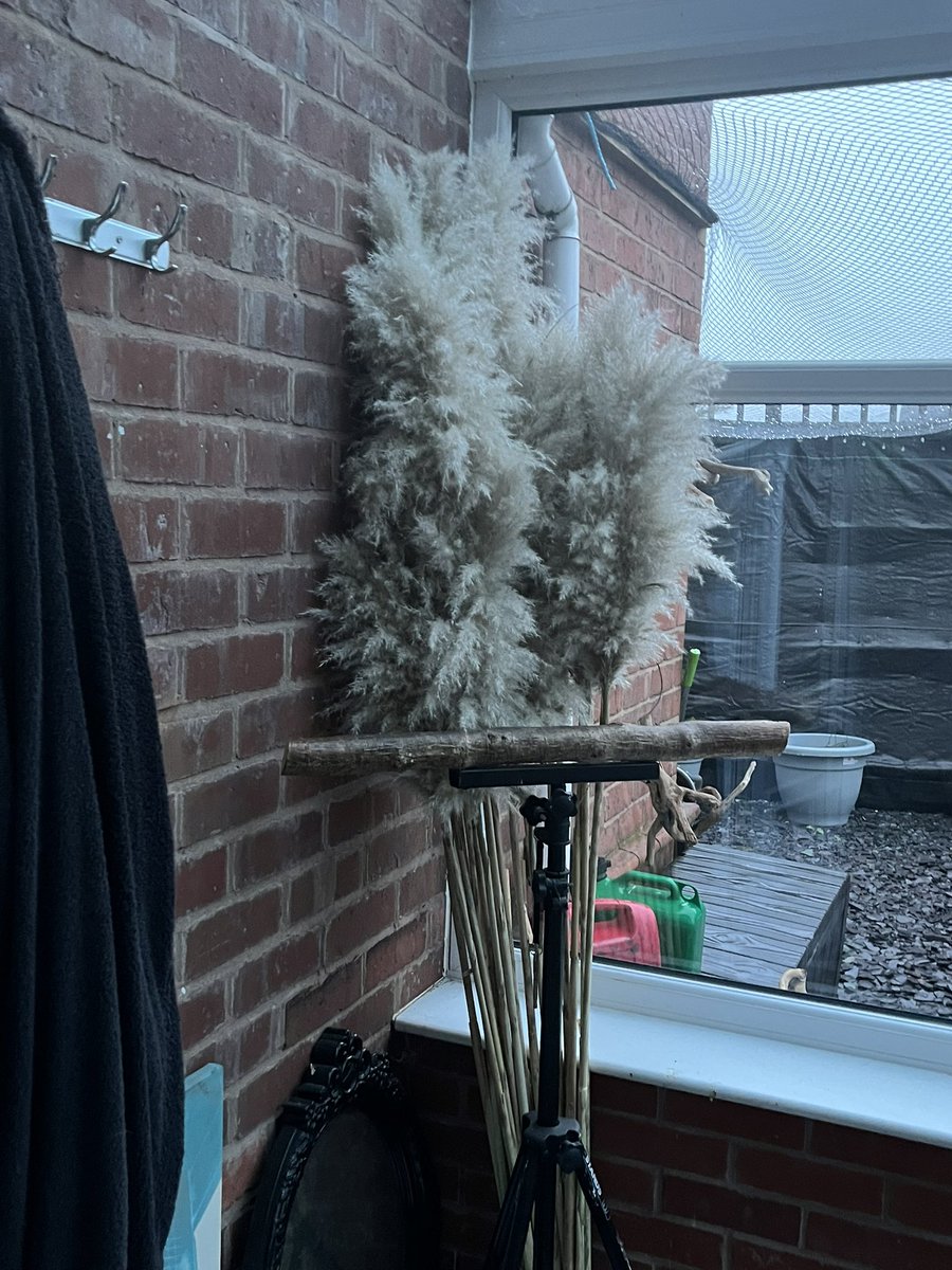 Stolen from The car park of my favourite supermarket not really the manager said I could take it