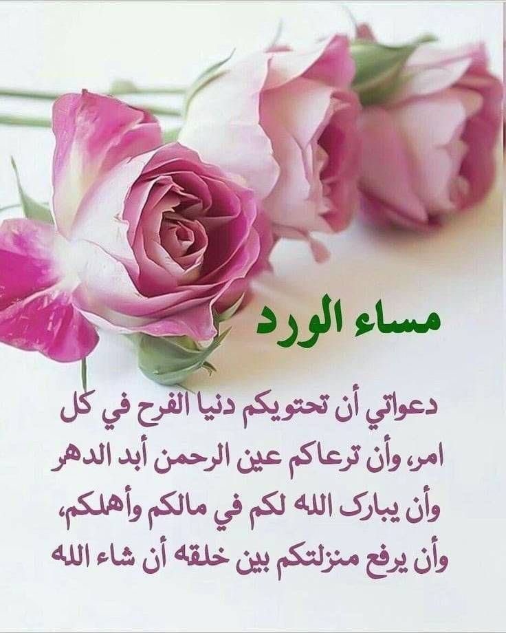 حمامة السلام🕊 tweet media