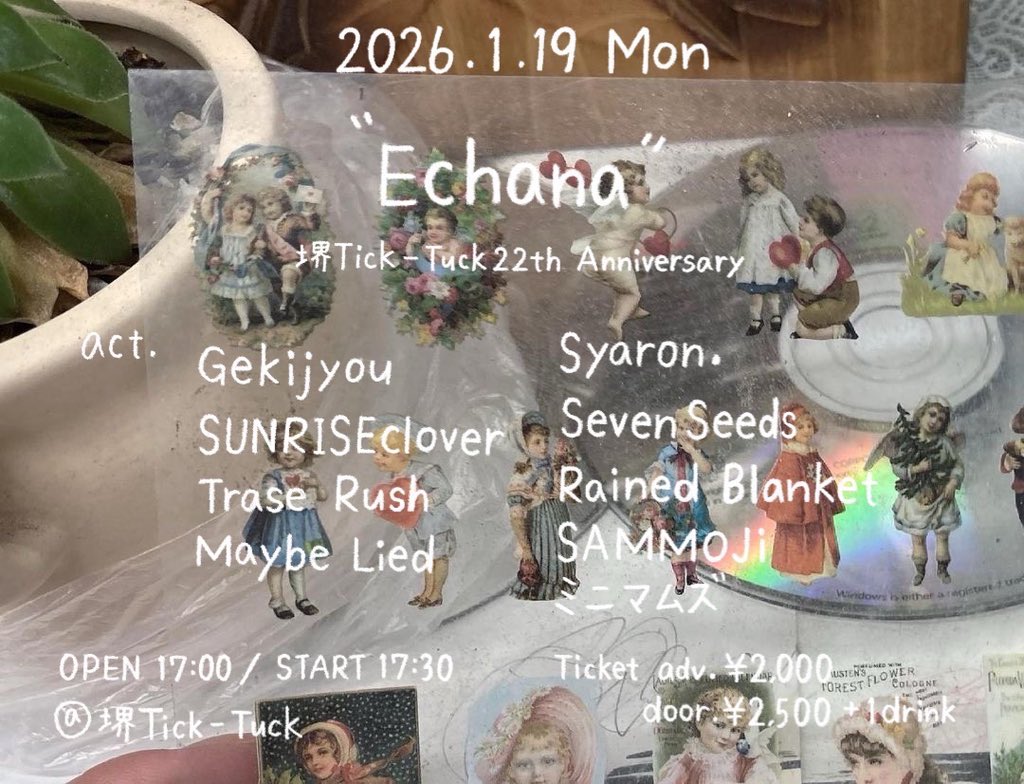 本日はこちら！ お取り置きお待ちしております！