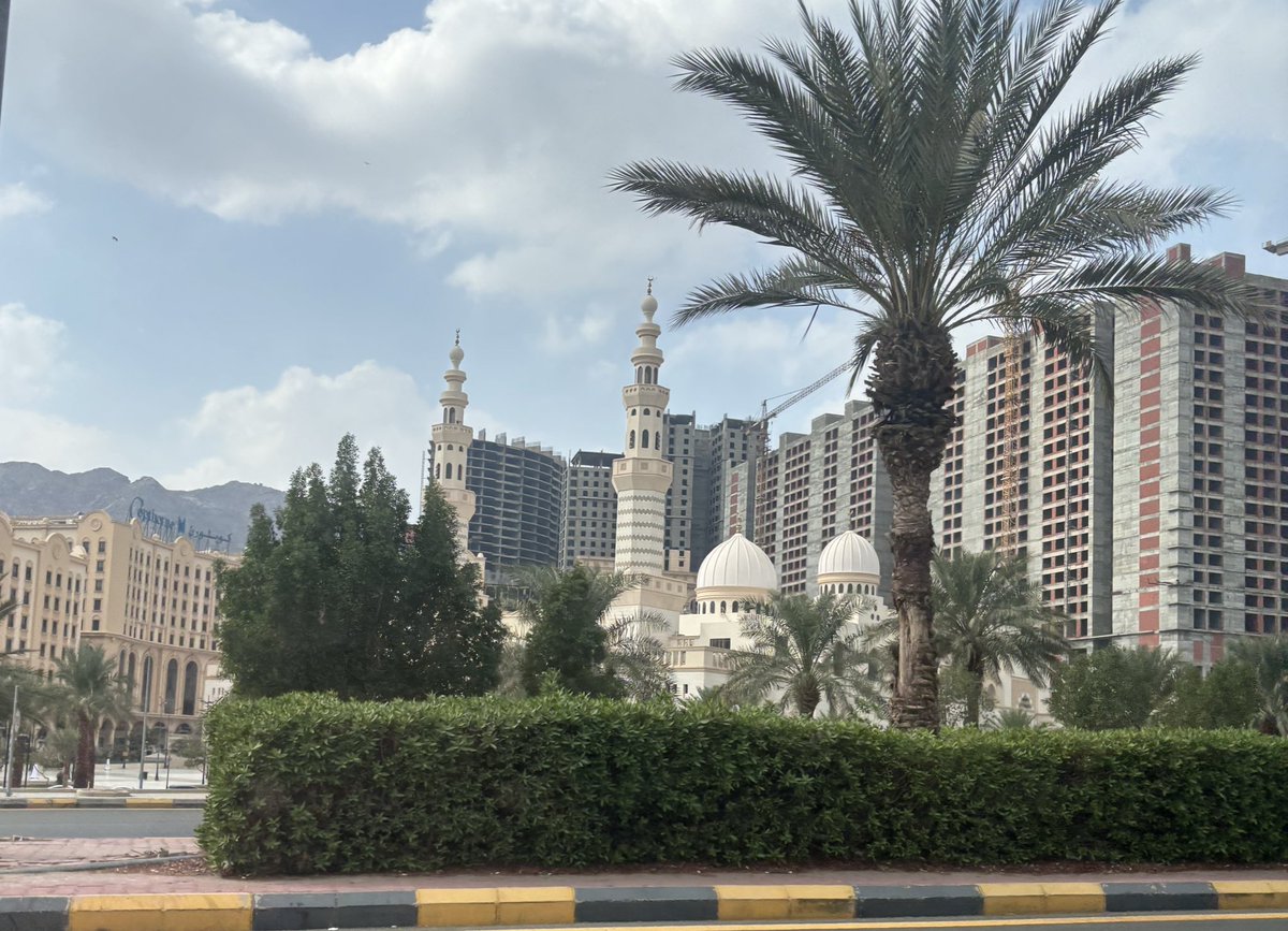 _1ds1's tweet image. 