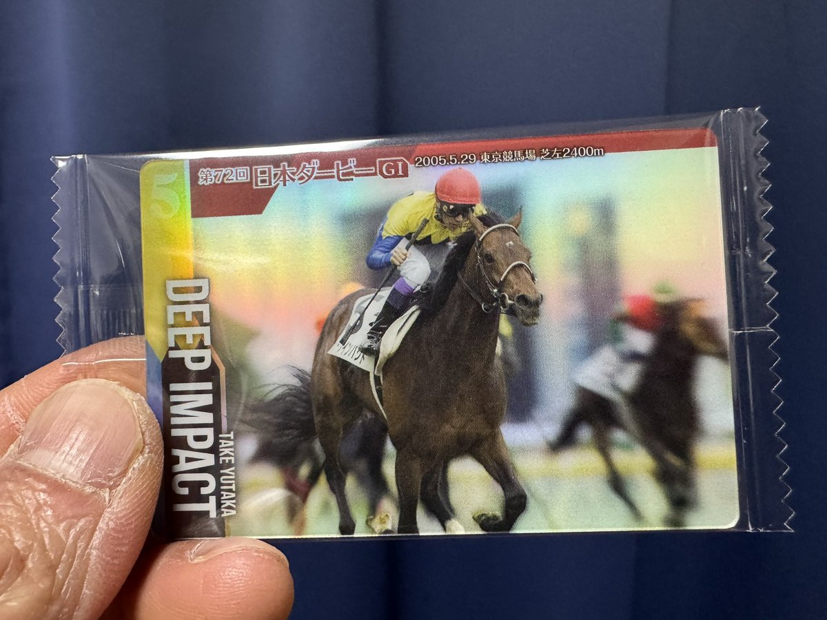 サラブレッドホースコレクション生活 21日目 プイ君 プイは1R版も持っ