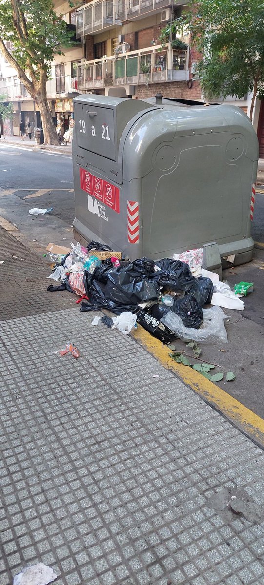nestor del carlo tweet media