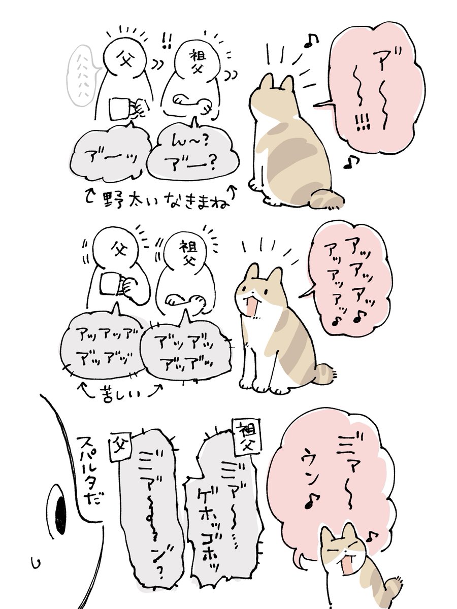 実家でおチビちゃんのネコ語講座が不定期開催されている スパルタ講師