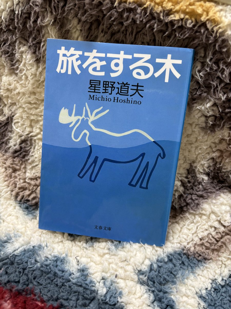 『旅をする木』星野道夫
#読了 #読書垢 
布団の中で、電車の中で、本を開くたびアラスカの美しい大自然をイメージする。
トウヒの木が旅をしたように星野さんもまた旅を続けているんだろうな。
