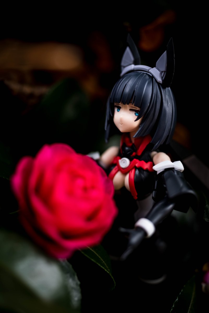 kuroneko794's tweet photo. 季節クエスト「山茶花を撮ろう」クリア
山茶花とミコルルさん中々良きでした・・・桜までに切実にシュミレさんがホシイ・・・

＃MS30 https://t.co/MFIH3OCMmO