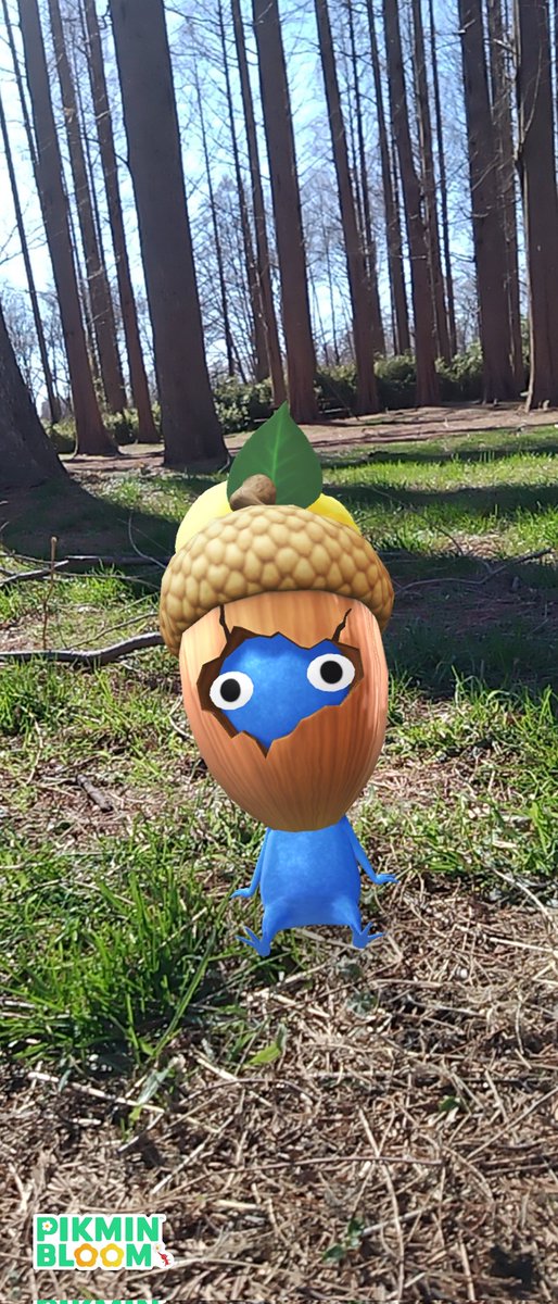 Golden Piony 🌱🐉🪄 tweet media