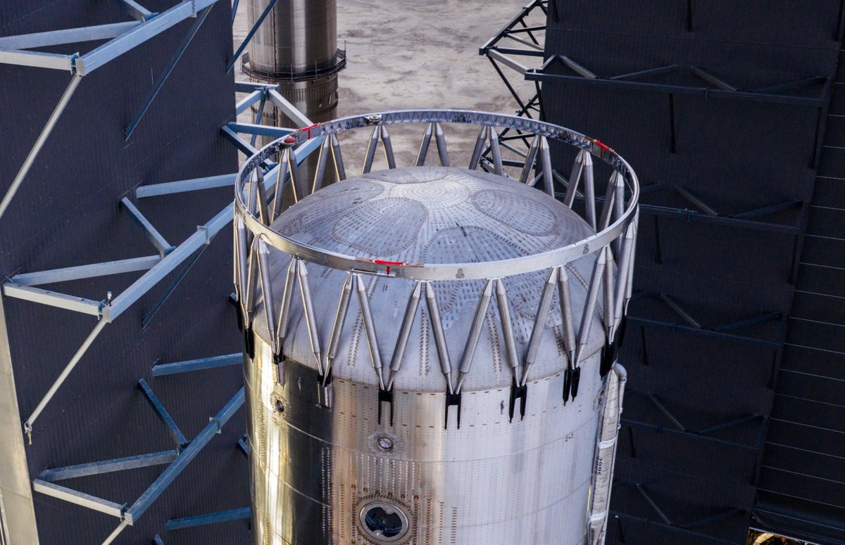 Booster 10 tweet media