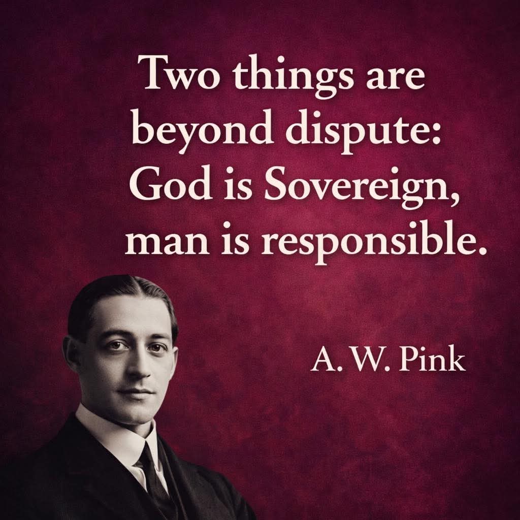 5 Solas (@5solas2) on Twitter photo 