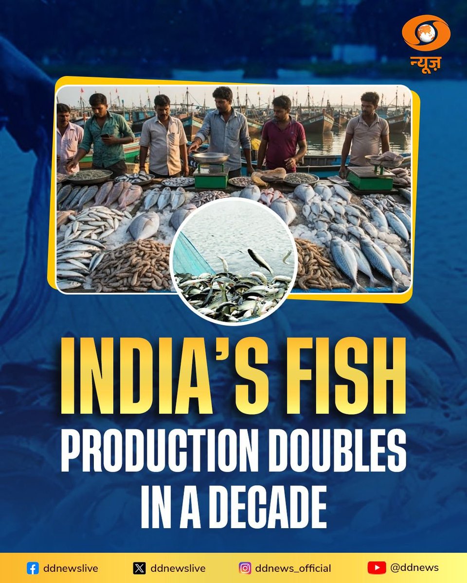 DDNewslive's tweet photo. India’s fish production has risen sharply from 95 lakh tonnes in 2013–14 to around 198 lakh tonnes in 2024–25, registering growth of over 106 per cent and reflecting sustained efforts to strengthen the fisheries sector nationwide.

#Fishproduction

@FisheriesGoI @MIB_India @PIB_India