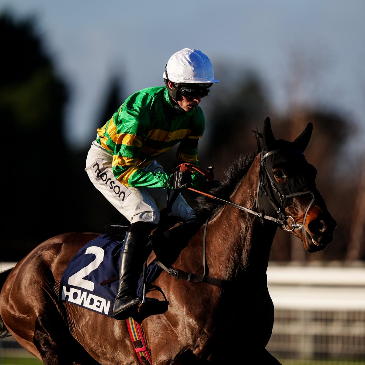 AtTheRaces's tweet image. BREAKING: Harry Cobden has been appointed as JP McManus' number one jockey in Britain and Ireland, with his new role beginning in May.