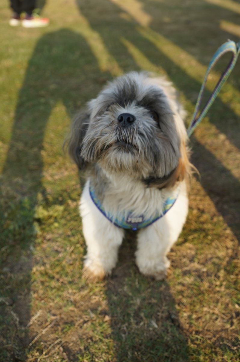 Dr. Gauravi Shivalkar Narwekar tweet media