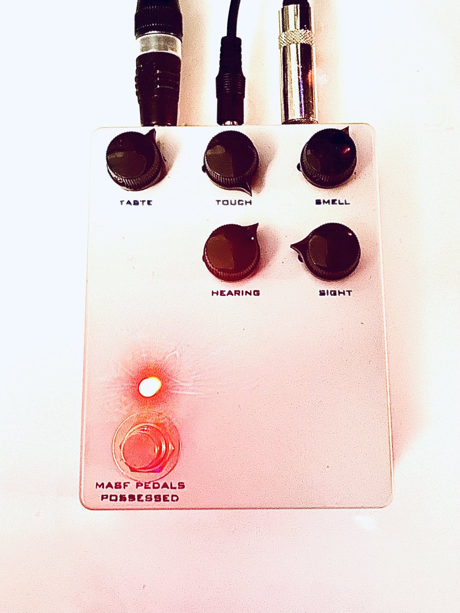 MASF Pedals POSSESSED ランダムディレイ 予想していたよりも使い