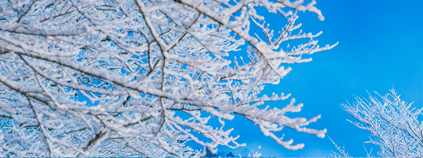 usalica's tweet photo. タップすると京都の線路に雪の花が咲きます❄️