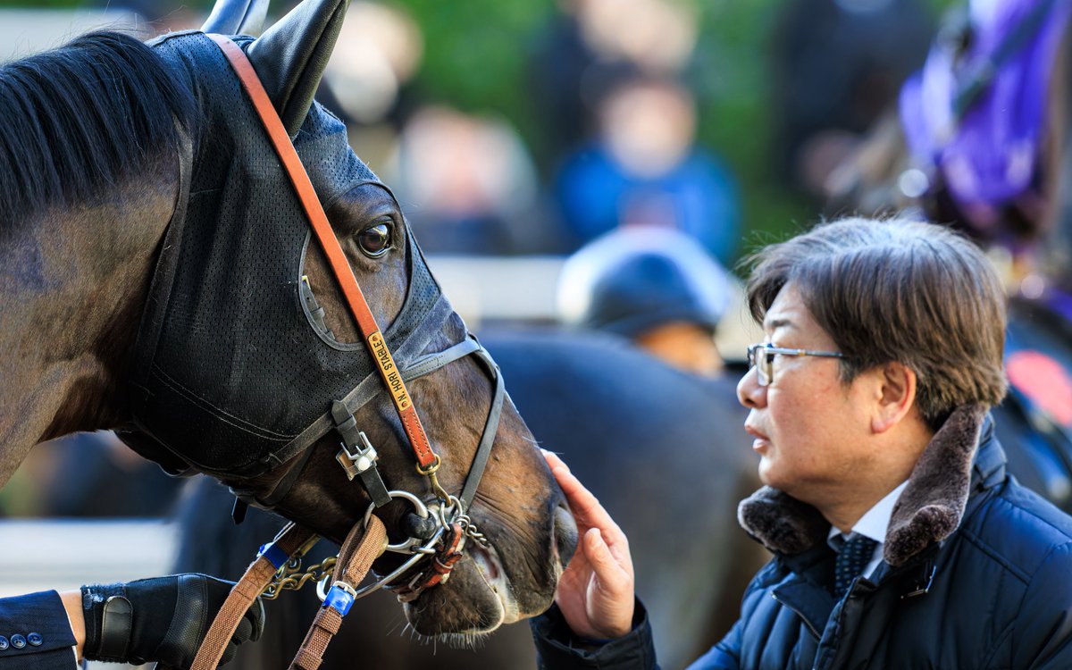 もんちゃん＠写真垢 (@mnch_pic) / Posts / X