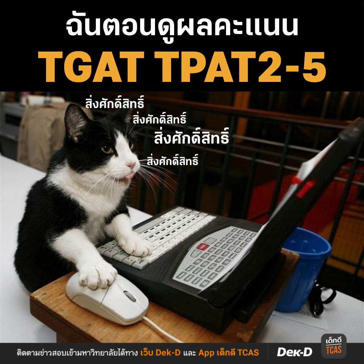 รีวิวตอนดูผลสอบ TGAT TPAT2-5 ที่จะออกพรุ่งนี้ #dek69