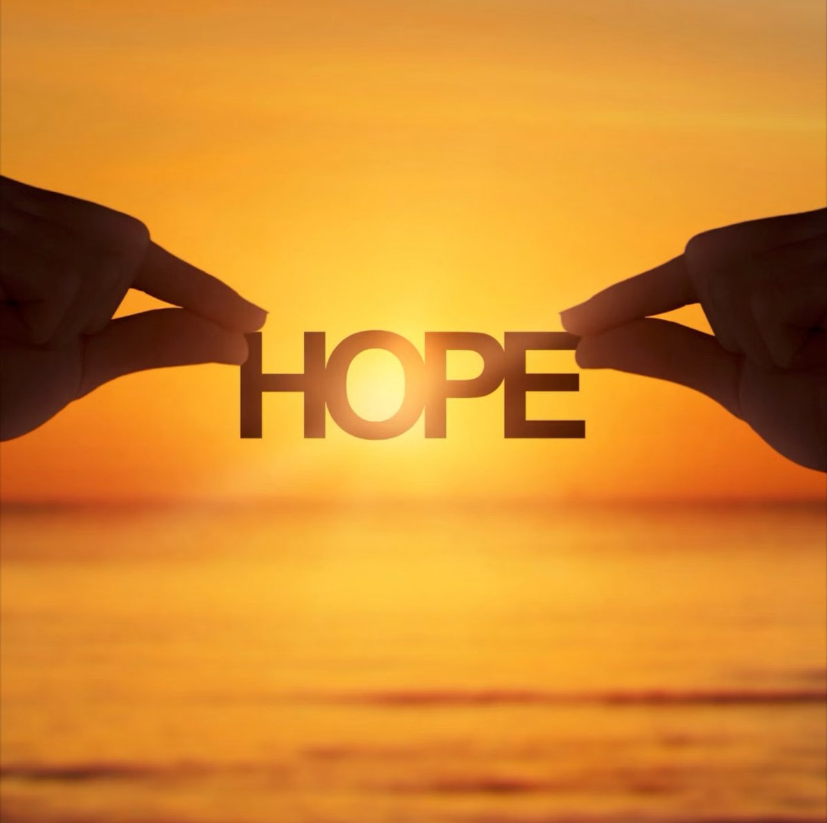 msjackjack2's tweet image. 