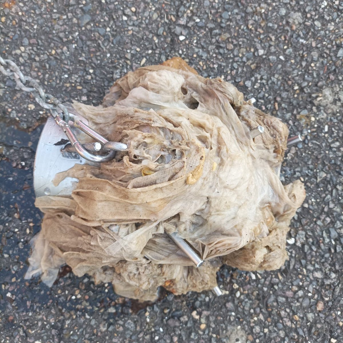 ⚠️DON'T FLUSH WIPES!!⚠️

Did you know...that unlike toilet paper, wipes DO NOT break down &amp; can take thousands of years to decompose. No matter what the packets say, they belong in the bin &amp; not down the toilet! 

<a href="/AnglianWater/">Anglian Water</a> - Love Every Drop💧#JustBinIt 
#LoveEveryDrop