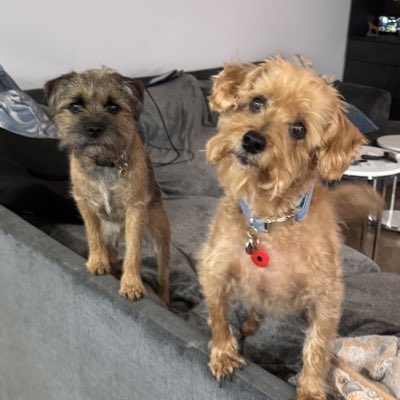 Aston&Molly(CJ&LennyBTs🌈) tweet media