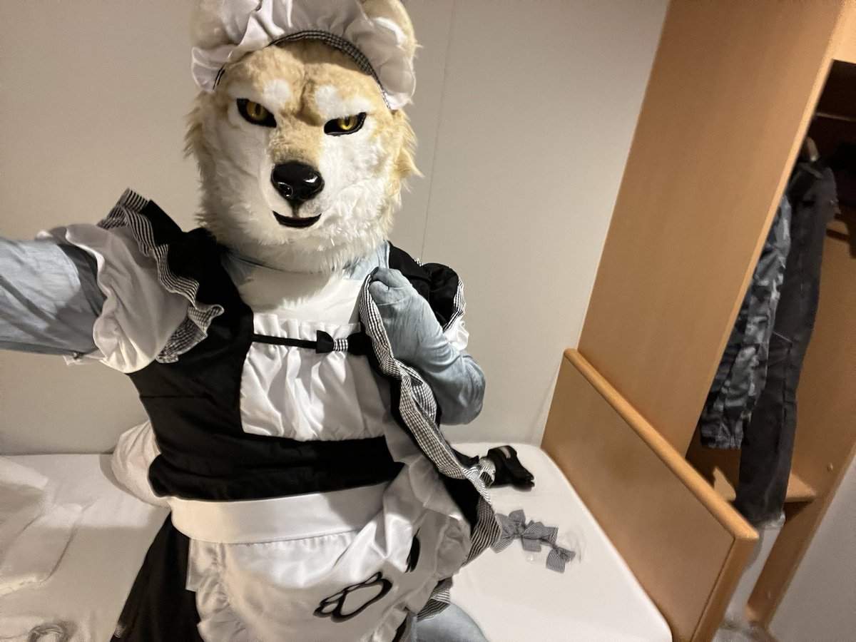 wolfmuzzle11's tweet image. 最近着てないわね〜