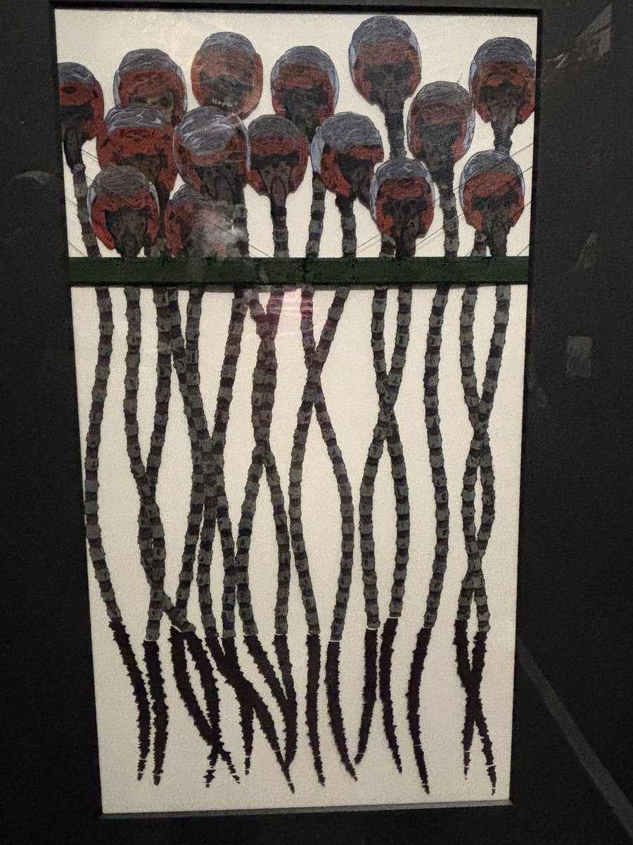 Post by すしお on X: 色が良すぎる