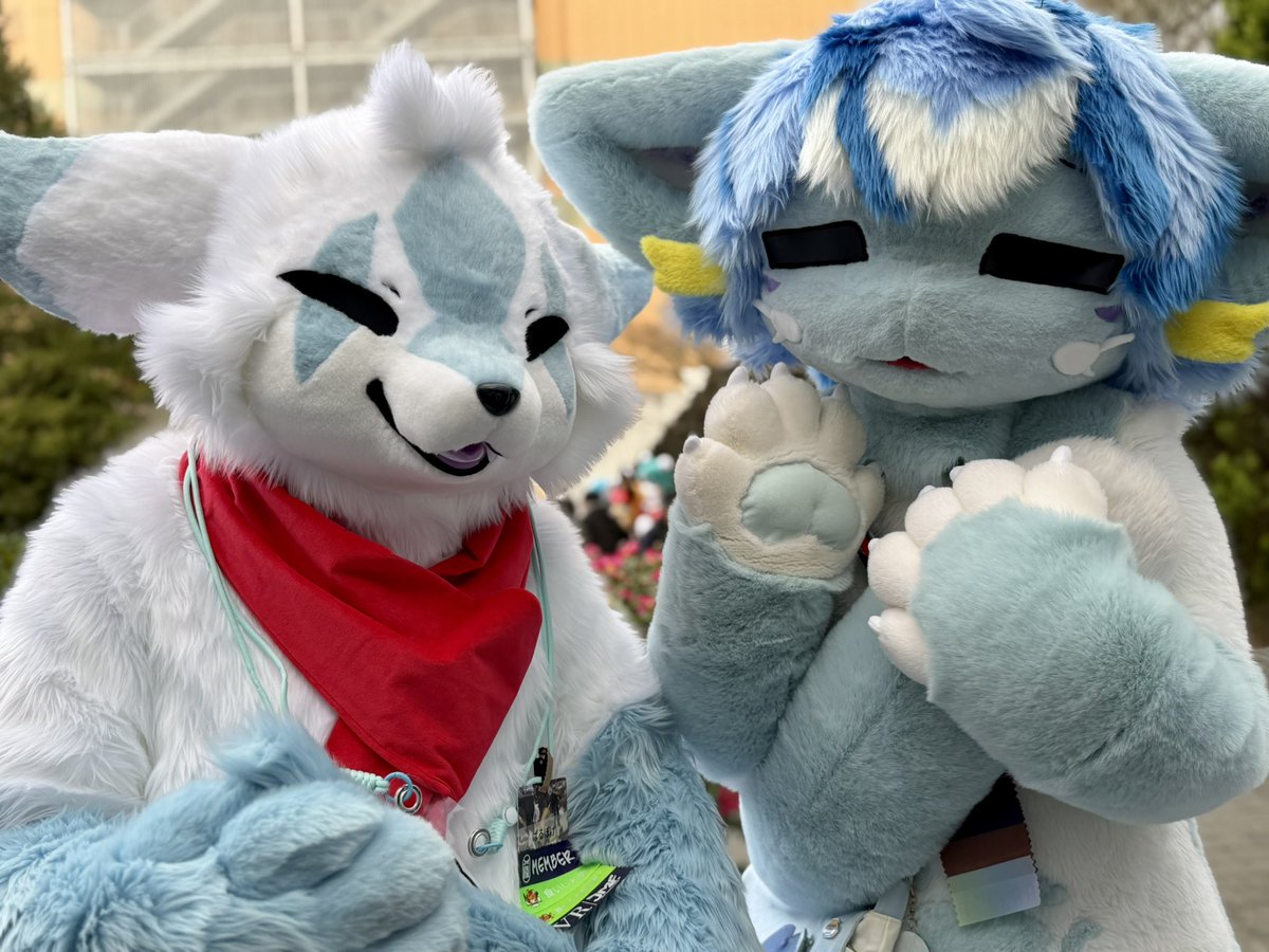 竹千代Takechiyo (@Phyllosta_tiyo) / Posts / X