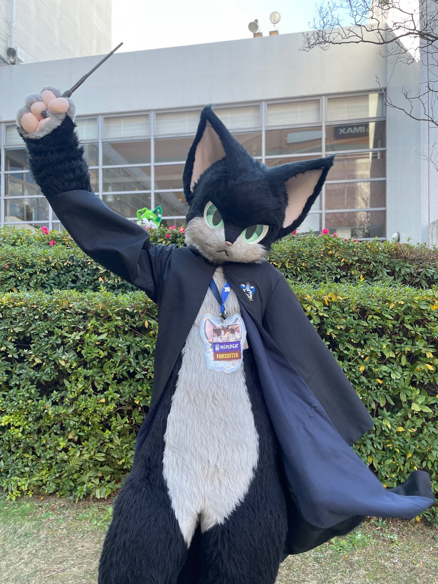 【Ricky様】ご依頼分　50個です。 相手を🐈‍⬛にします🪄