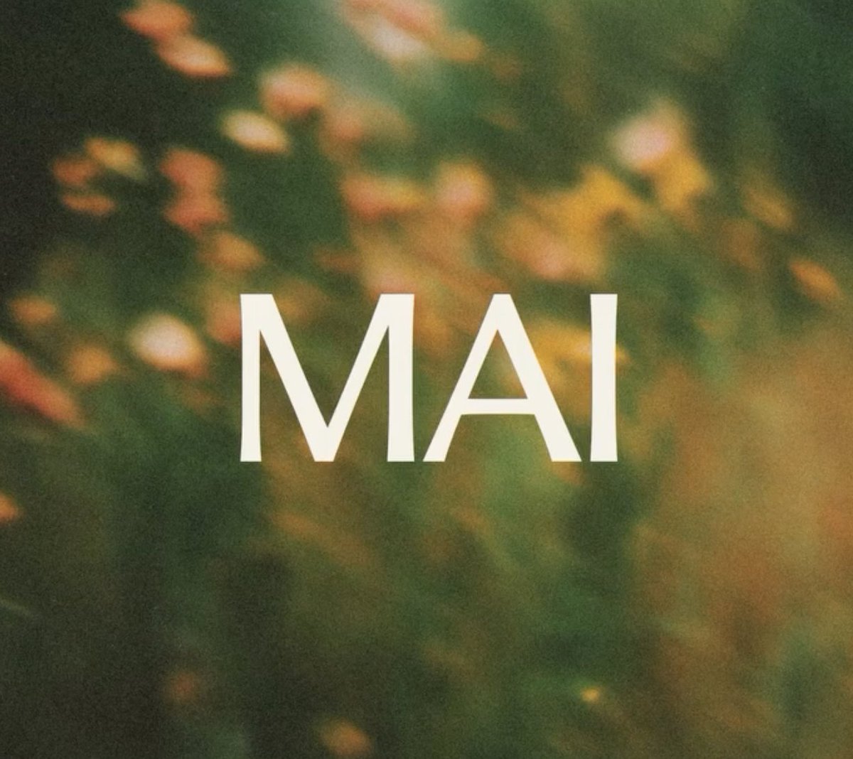 Josh Newton tweet media