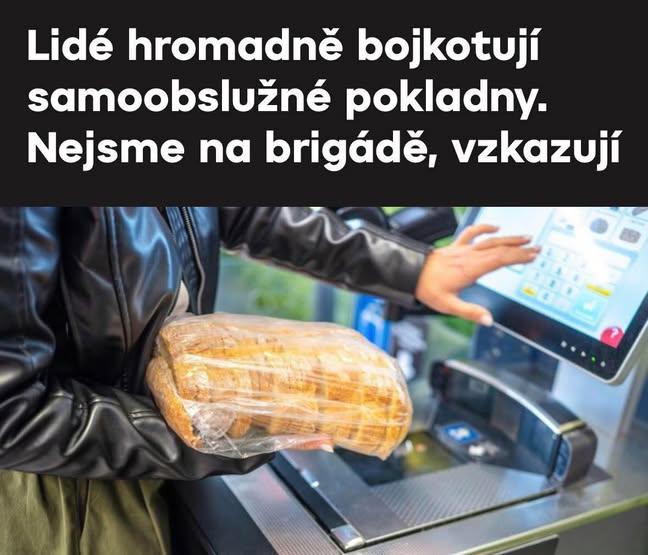 Fíla Srp 🇨🇿🧡🇺🇦🇵🇱 tweet media