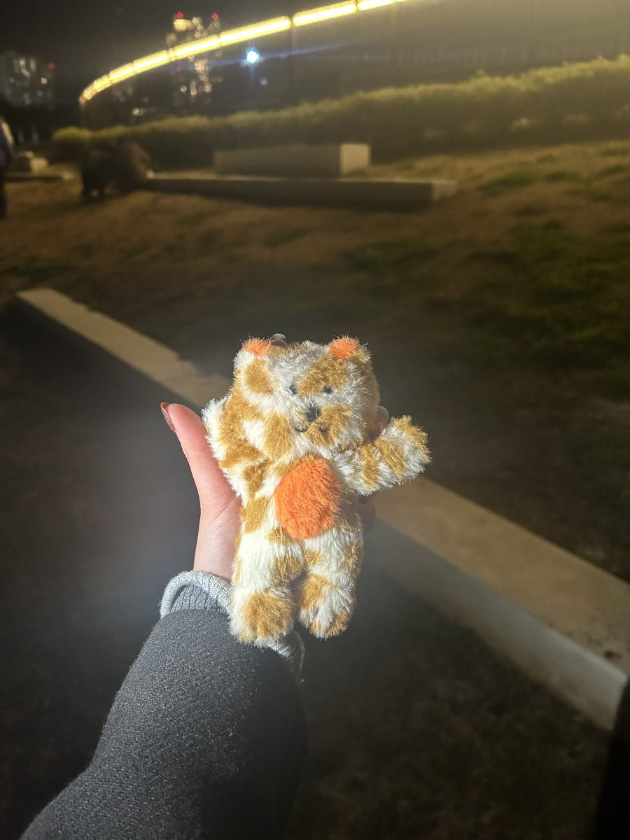 with Music 有明アリーナ 外の芝生のところでソンホのぬいぐるみ落とした人いませんか！

BOYNEXTDOOR ボネクド ソンホ CATBBI 落し物