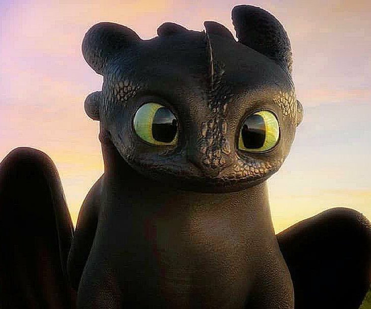 cheezzong's tweet image. 똑같이생겻자나 ...... .... .. ...... ...