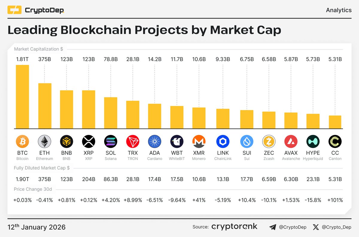 ⚡️ Leading Blockchain Projects by Market Cap $BTC $ETH $BNB $XRP $SOL $TRX $ ADA $WBT $XMR $LINK $SUI $ZEC $AVAX $HYPE $CC