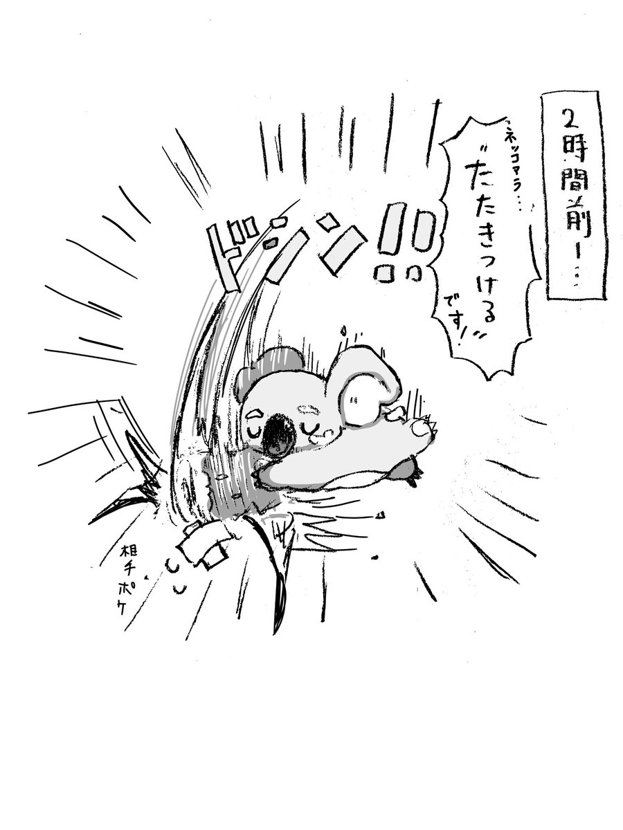 aokさんに抱っこされて甘やかされてるネッ🐨ちゃん。

バトルだと攻撃力特化で雄々しくて好き。 