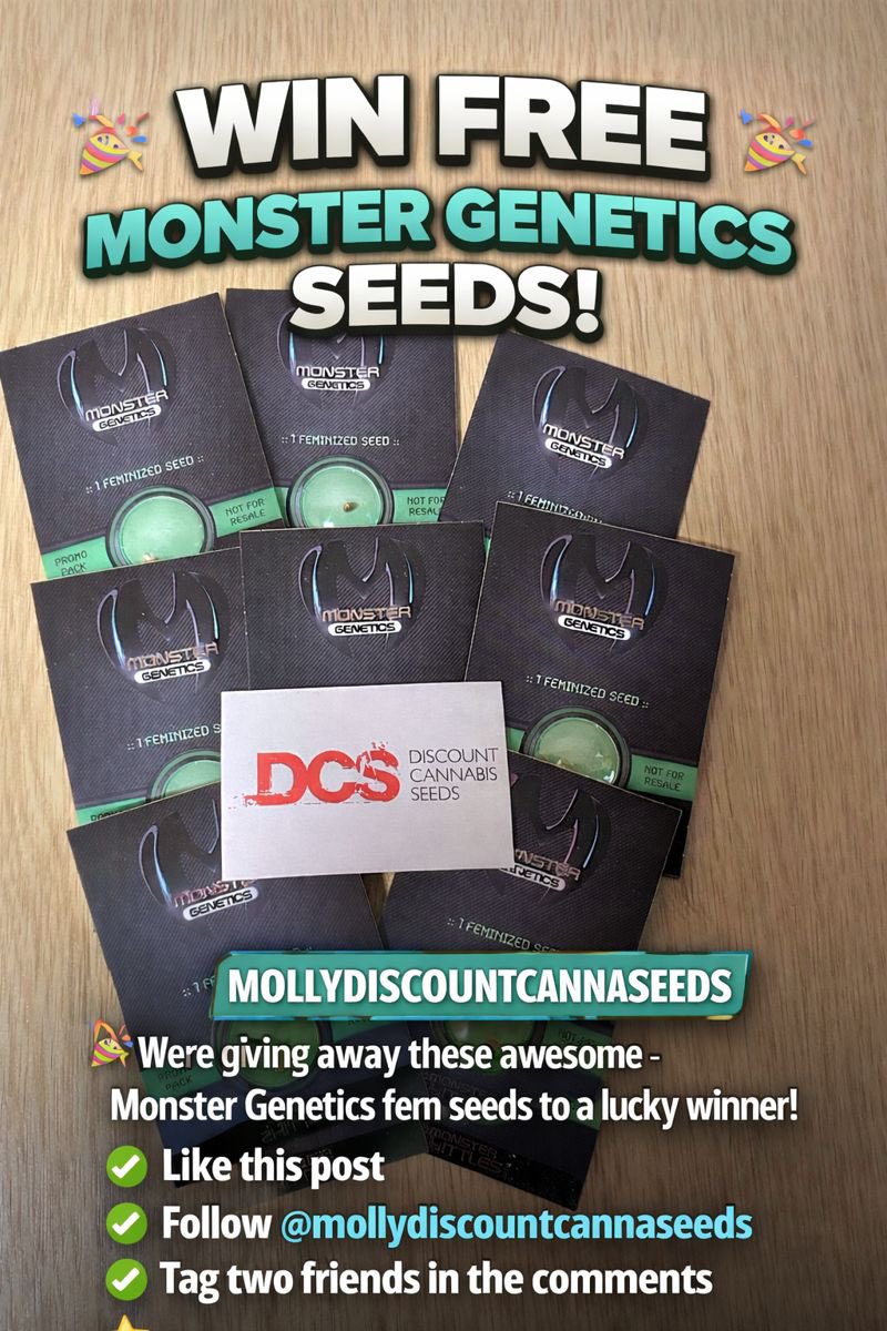 Discount Cannabis Seeds tweet media