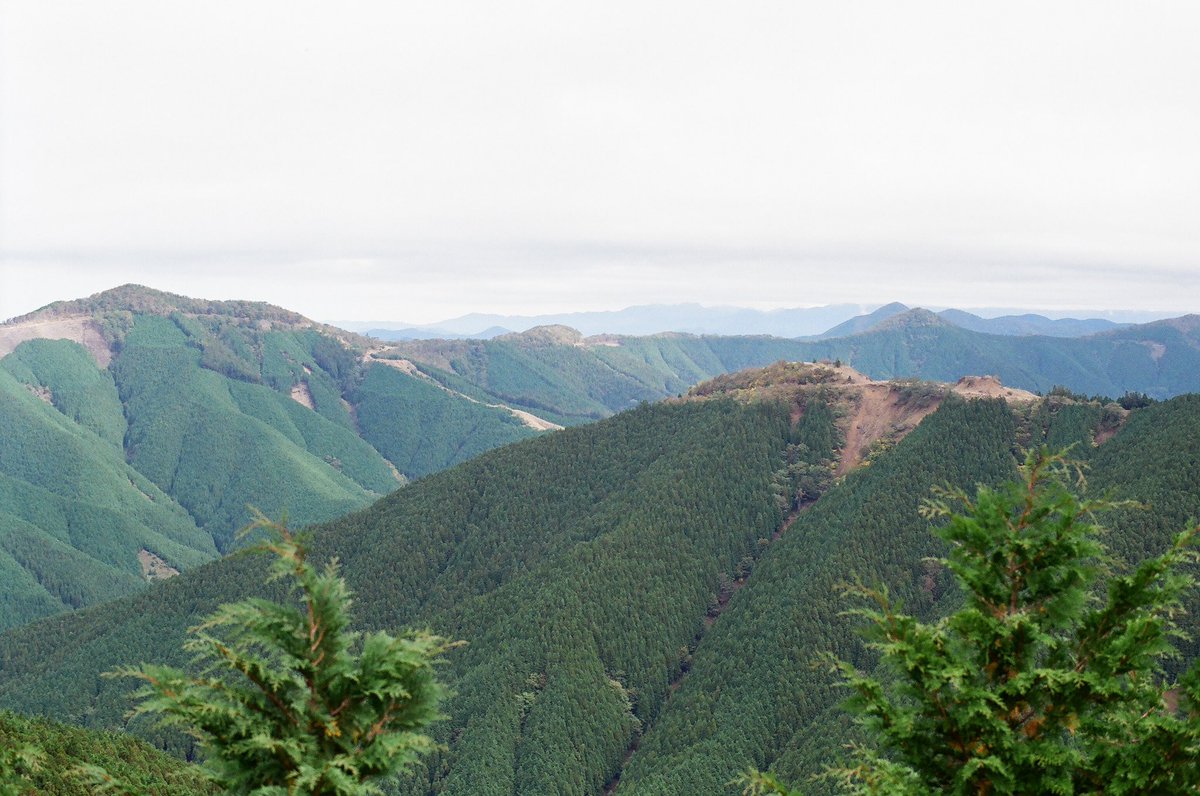 ytmctrp's tweet image. フィルムと緑

#film #filmphotography #フィルム写真 #フィルムカメラ